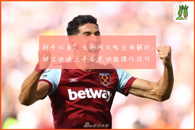 新手必看！竞彩网攻略全面解析，助你快速上手各类功能操作技巧