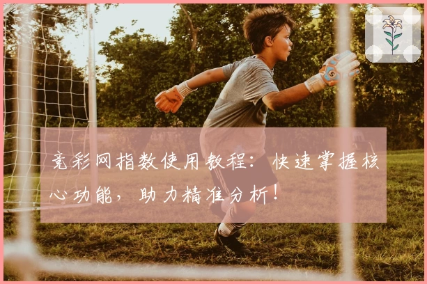竞彩网指数使用教程：快速掌握核心功能，助力精准分析！