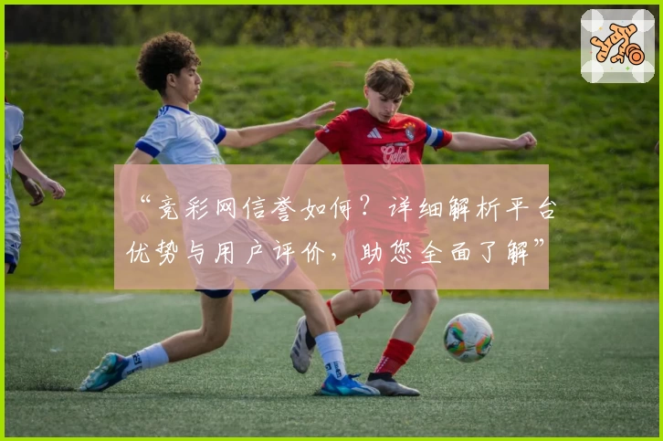“竞彩网信誉如何?详细解析平台优势与用户评价,助您全面了解”