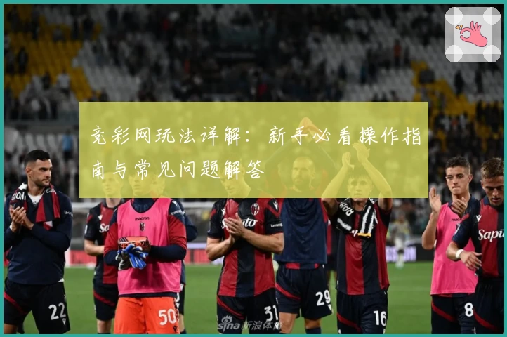 竞彩网玩法详解：新手必看操作指南与常见问题解答