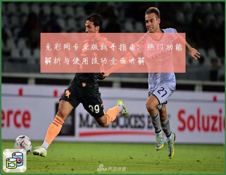竞彩网专业版新手指南：热门功能解析与使用技巧全面讲解